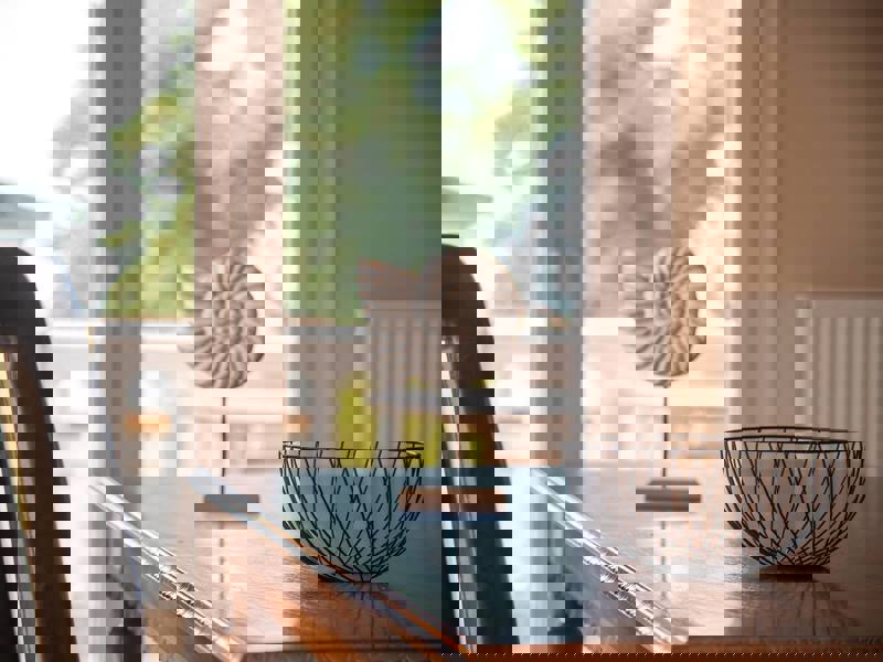 13.jpeg