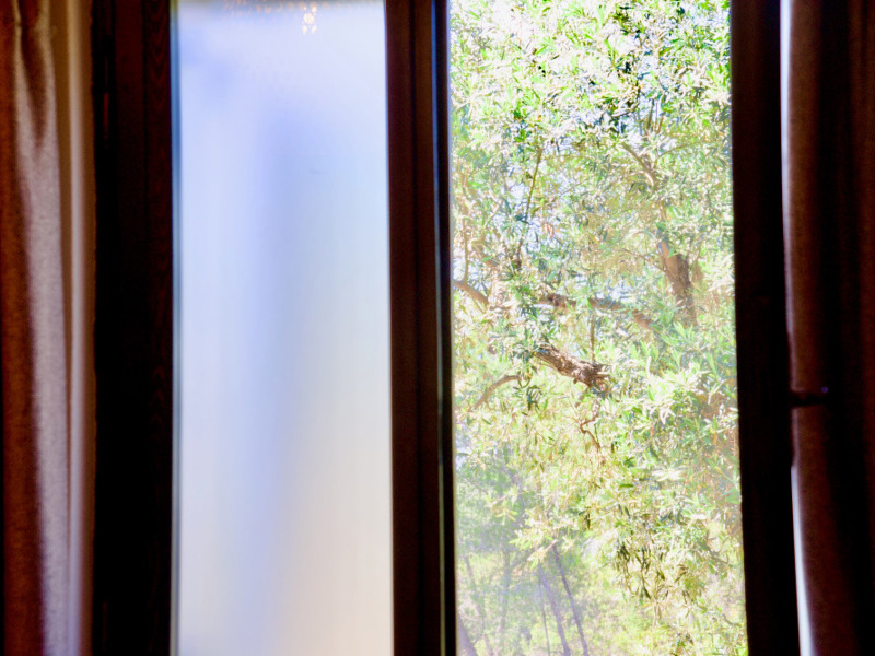 DSC_4242.jpeg