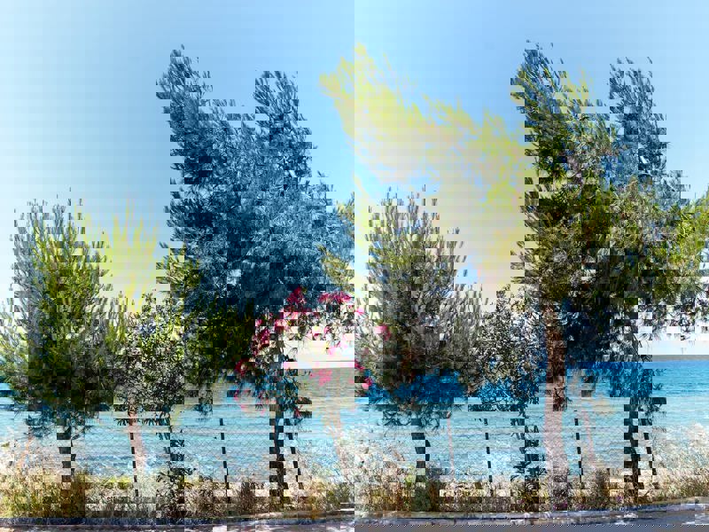 ext3.jpg